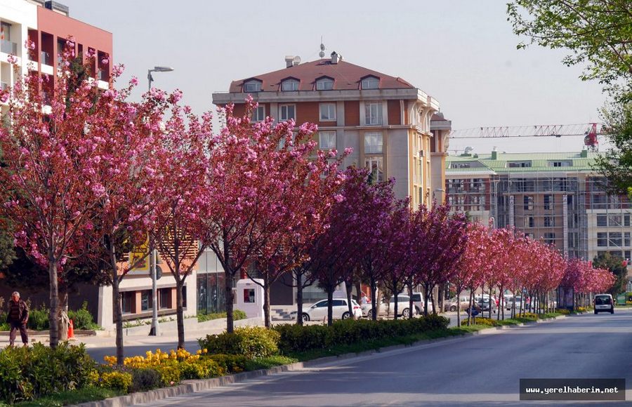 Muhteşem Güzellik Büyükçekmece...