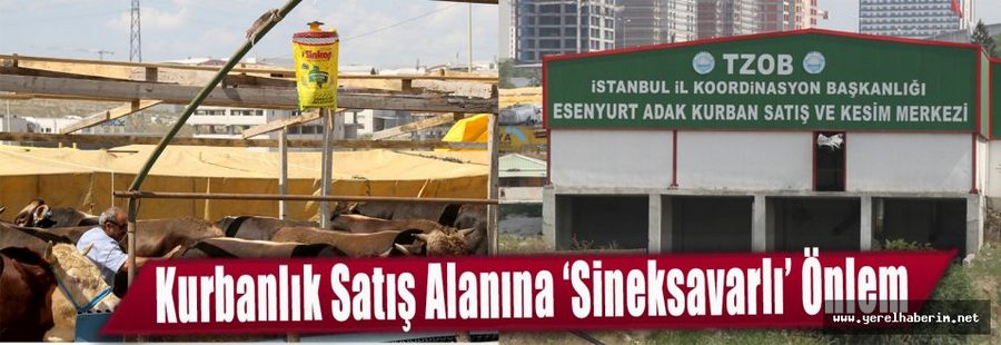 Kurbanlık Satış Alanına ‘Sineksavarlı’ Önlem..!