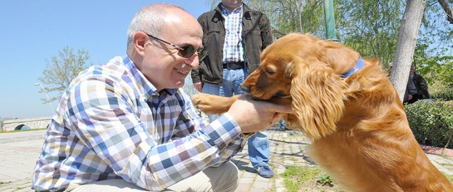 Başkan Akgün’den “Can Dostlar Parkı’’