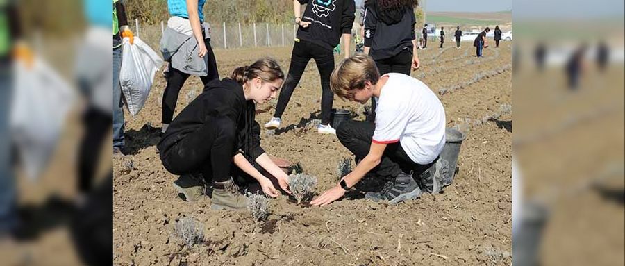 Büyükçekmece'ye Lavanta Bahçesi