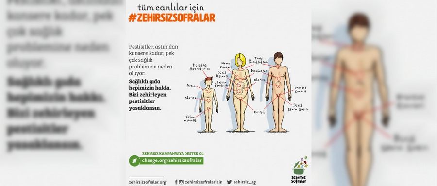 Türkiye’nin Pestisit Gerçeği