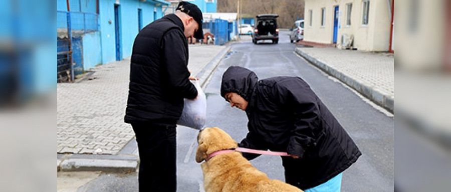 Güçlü’nün Talihi Döndü!