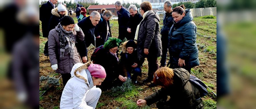 Tarım Yılı İlan Etti