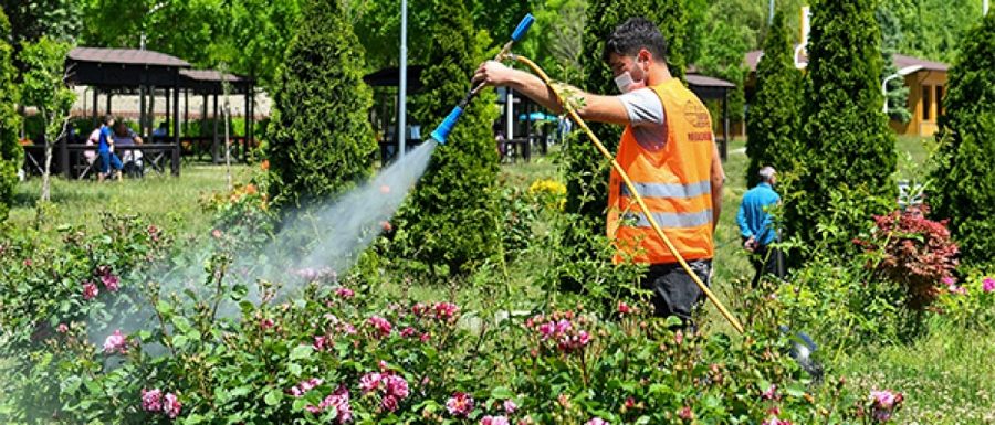 “Çalışmalarımız Yaz Sonuna Kadar Devam Edecek”