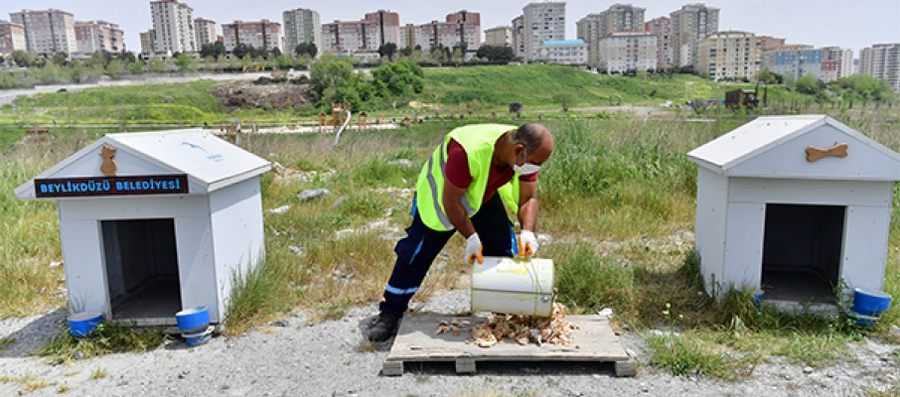 Sokak Hayvanları İçin 4 Ton Mama