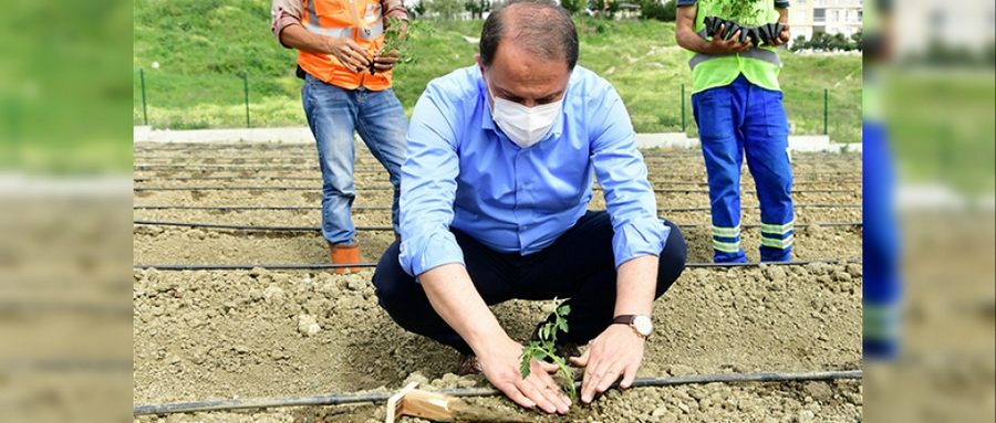 Yaşam Bahçesi’ne Yazlık Fideler Dikildi