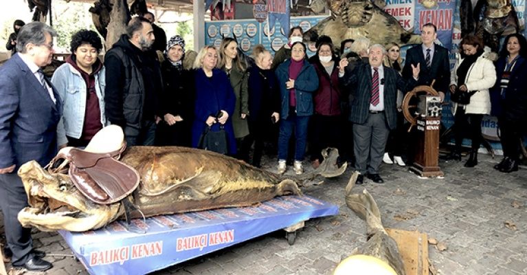 Türkiye Deniz Canlıları Müzesi’ne Yıl Sonu Ziyareti