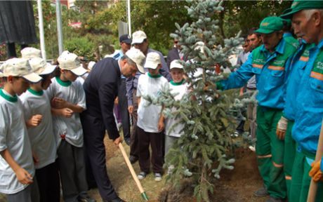 4 Yılda 52 Bin Fidan Dikildi