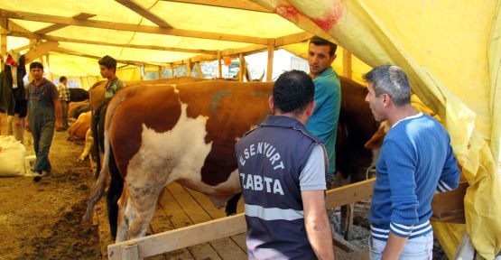 50 dönümlük kurban alanı kuruldu