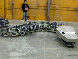 60 milyon yıllık yılan robotla canlandı