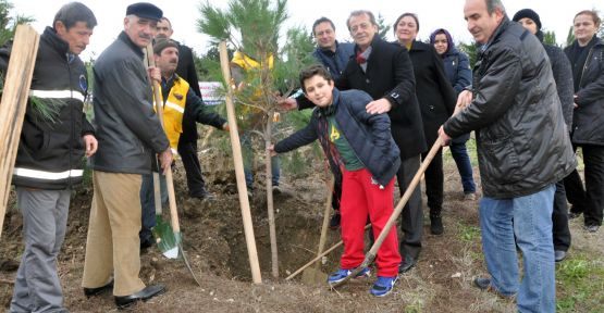 Ağaç Katliamına Karşı Şenlik Yapıldı