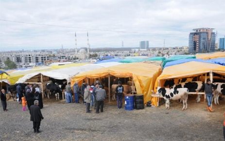 Bağcılar’a kurbanlıklar gelmeye başladı