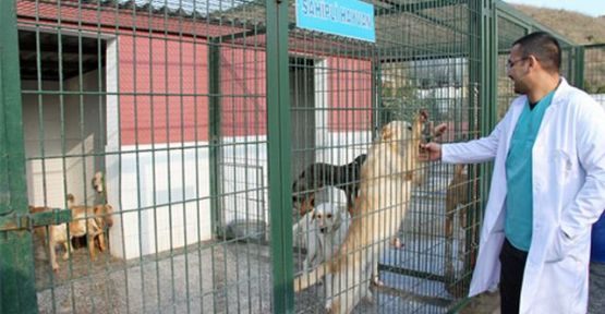 Başakşehir’de Hayvanlara  Şefkat Barınağı 