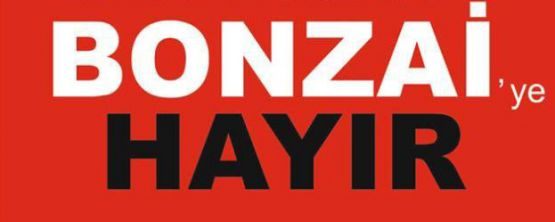 “BONZAİ”YE HAYIR