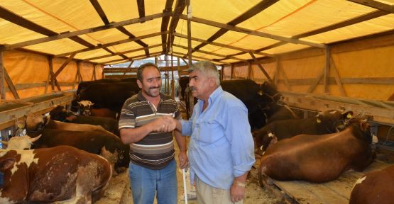 Büyükçekmece Kurban Bayramı’na Hazır