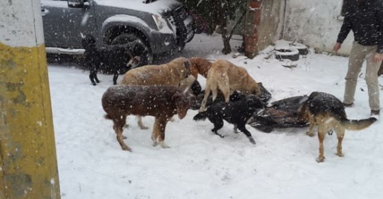 ÇATALCA BELEDİYESİ ONLARINDA YANINDA