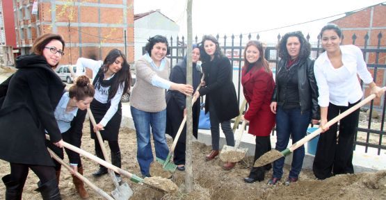 Esenyurt ’ta kadınlar için 14 fidan