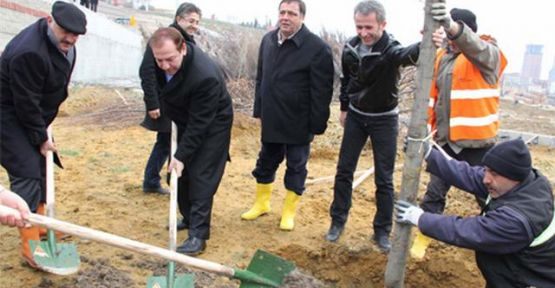 Kadıoğlu Esenyurt’u Yeşile Boyadı!