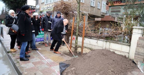 masumların anısına 3 ıhlamur ağacı dikti