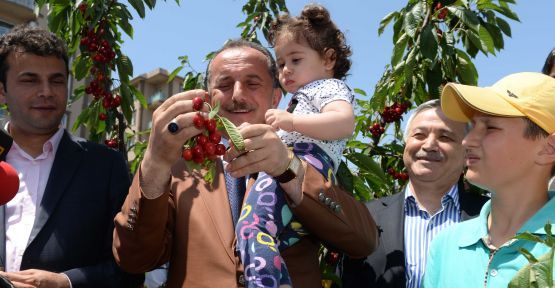 Piknik Sezonu Açıldı