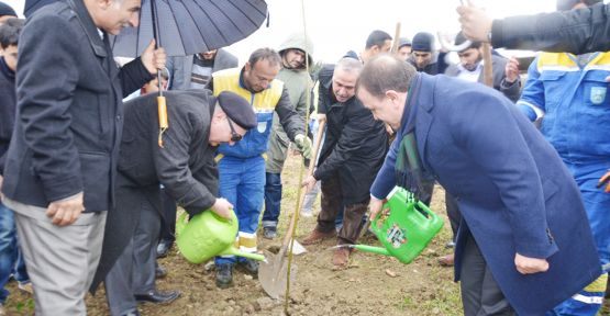 Semerkant’ta fidan şow