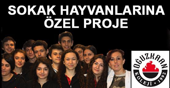 SOKAK HAYVANLARINA ÖZEL PROJE