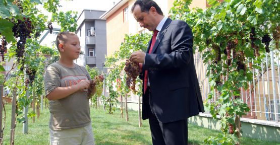 Üzümü Ye Bağını Sor